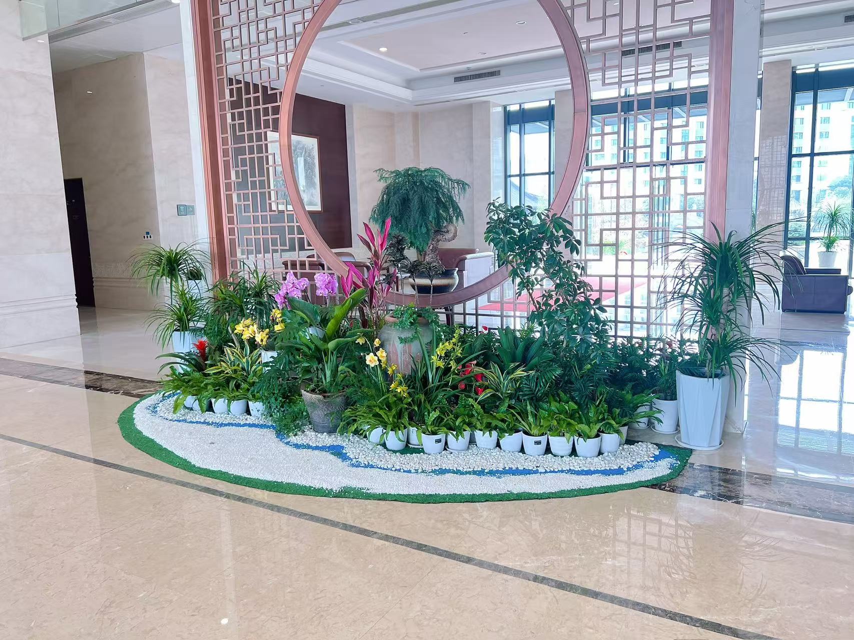 实惠花卉出租哪里找？奉化满足你需求！