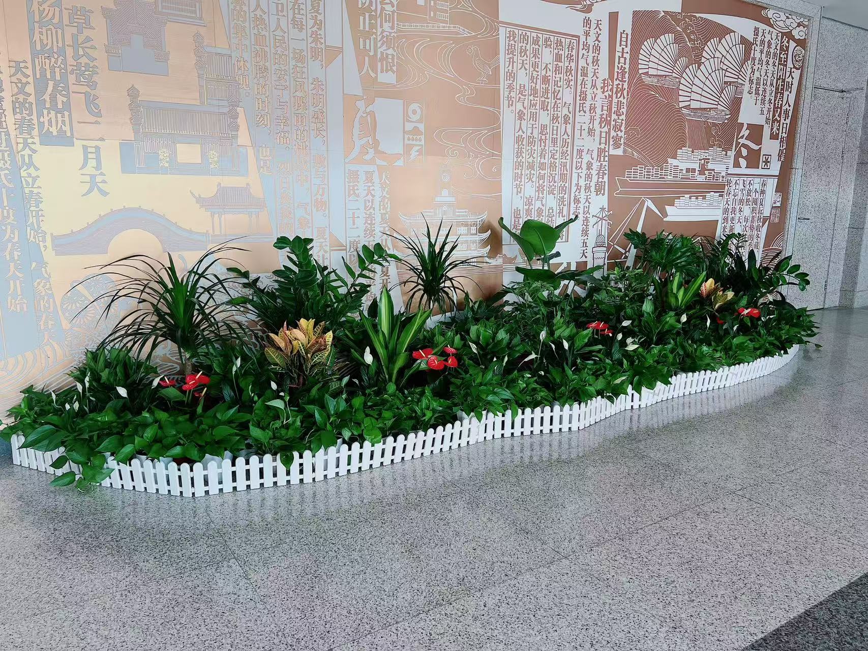 爱独特景观？鄞州盆景出租满足你亡